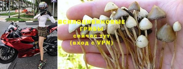 СК Алексеевка