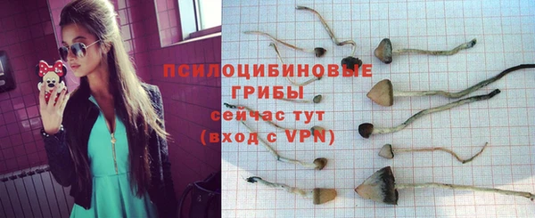 СК Надым