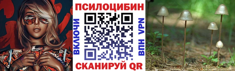 цены наркотик  Керчь  гидра ссылка  Галлюциногенные грибы MAGIC MUSHROOMS 